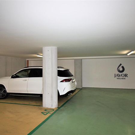 Apartment Rezidence - Javor & Wellness Zelezna Ruda Exterior photo