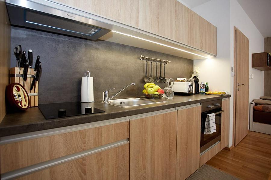 Apartment Rezidence - Javor & Wellness Zelezna Ruda Exterior photo